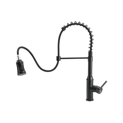 Kitchen Swivel Pulldown Faucet