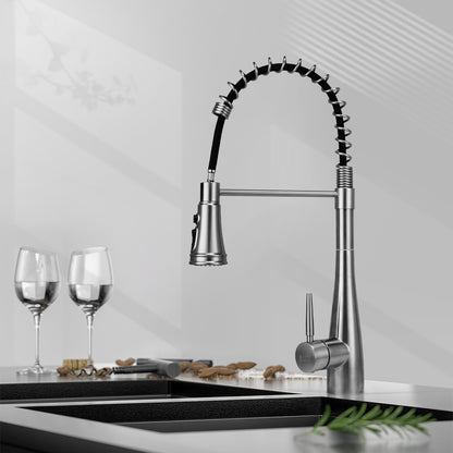 Pre-rinse Pull-Down Swivel Kitchen Faucet