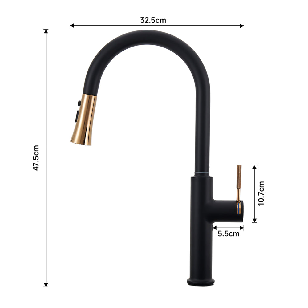 Black Kitchen Sink Faucet with Pull Down Sprayer