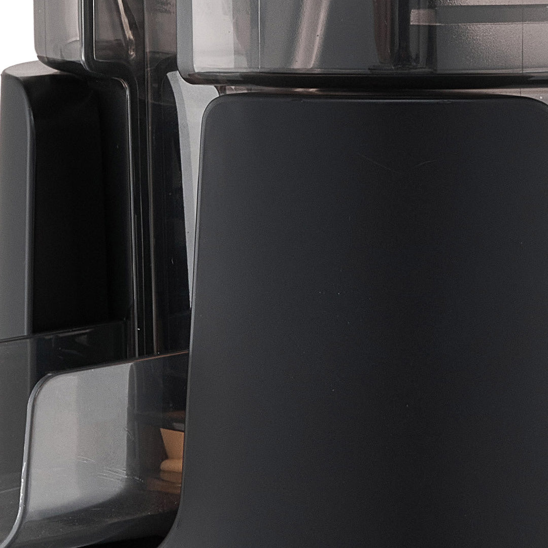 300W Cold Press Juicer Slow Masticating Machine