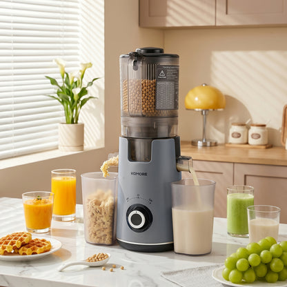 300W Cold Press Juicer Slow Masticating Machine