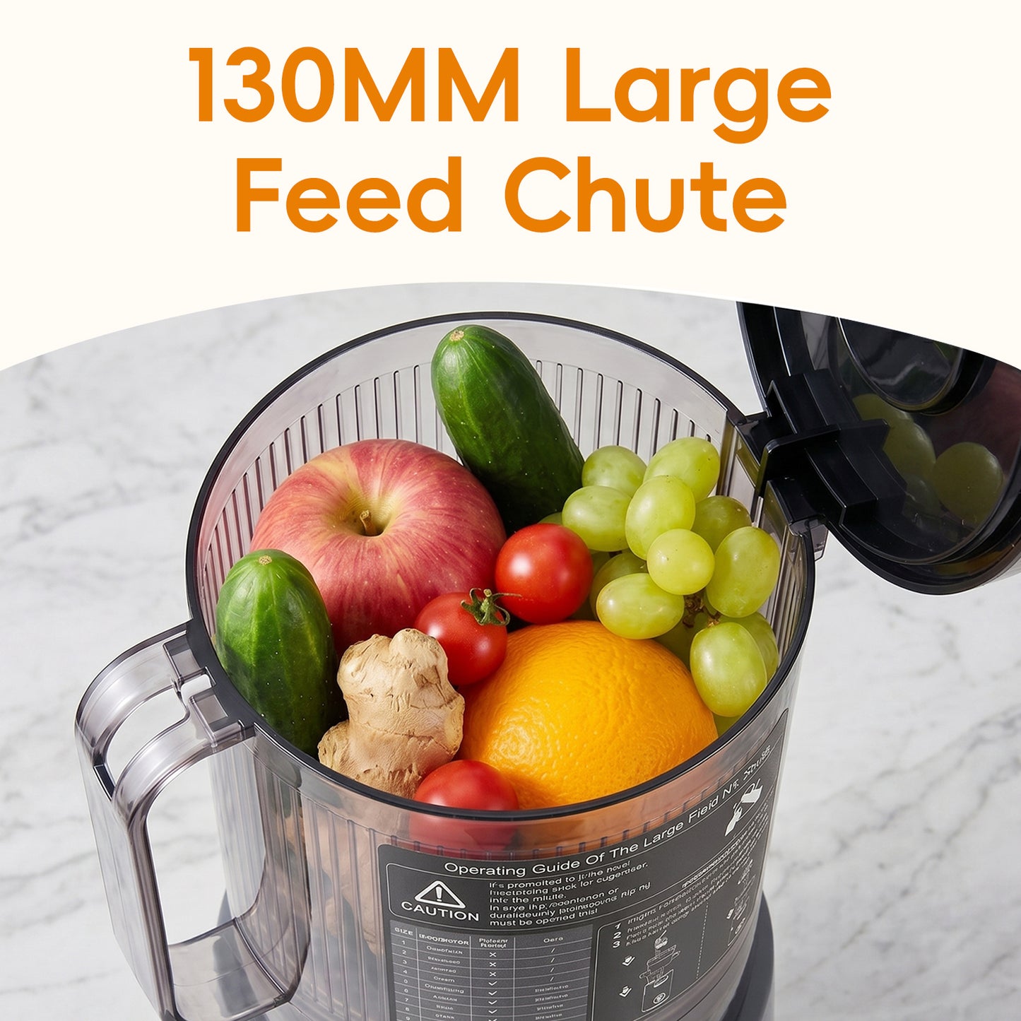 300W Cold Press Juicer Slow Masticating Machine