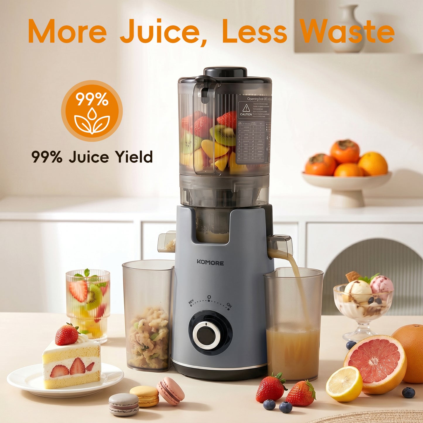 300W Cold Press Juicer Slow Masticating Machine