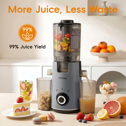 300W Cold Press Juicer Slow Masticating Machine