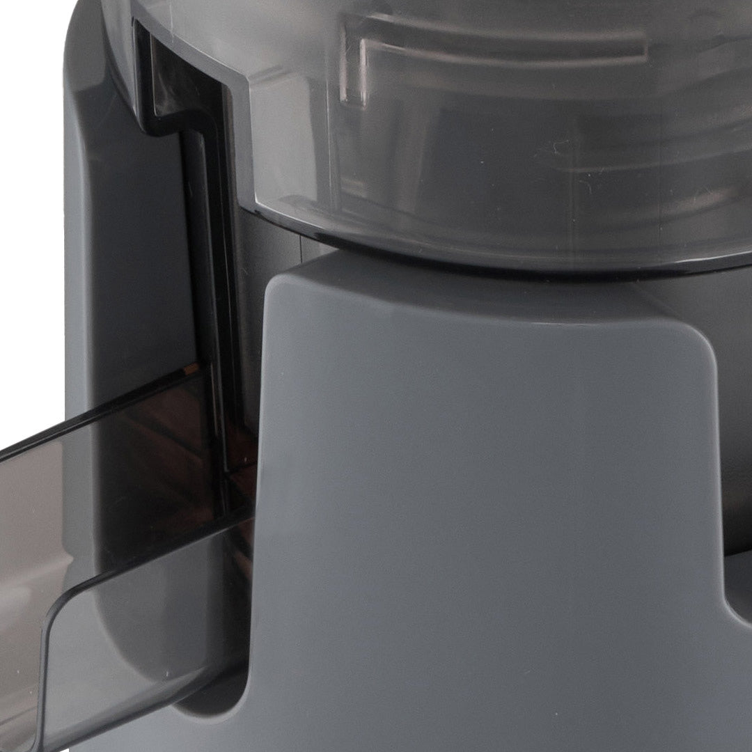300W Cold Press Juicer Slow Masticating Machine