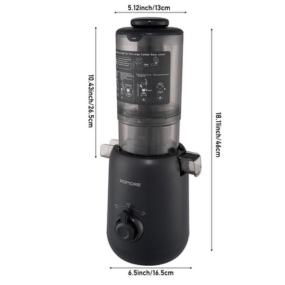200W Cold Press Juicer Slow Masticating Machine