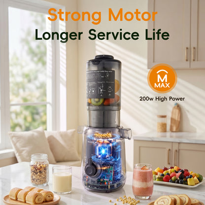 200W Cold Press Juicer Slow Masticating Machine