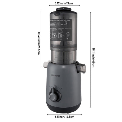 200W Cold Press Juicer Slow Masticating Machine