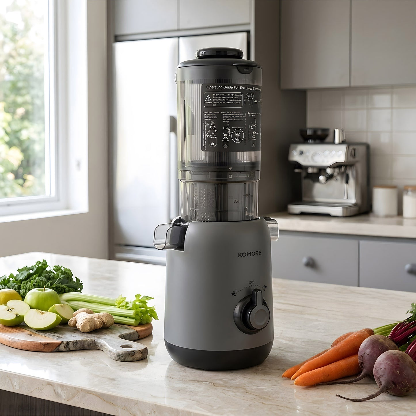 200W Cold Press Juicer Slow Masticating Machine