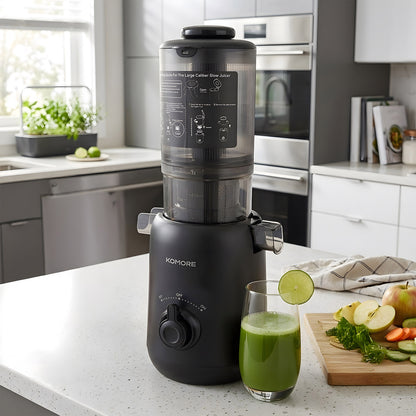 200W Cold Press Juicer Slow Masticating Machine