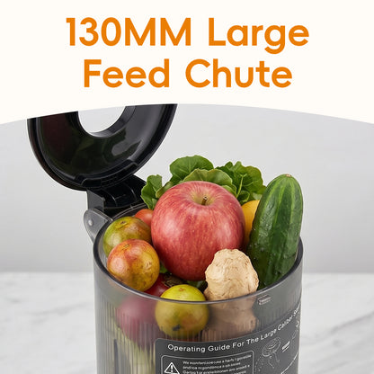 200W Cold Press Juicer Slow Masticating Machine