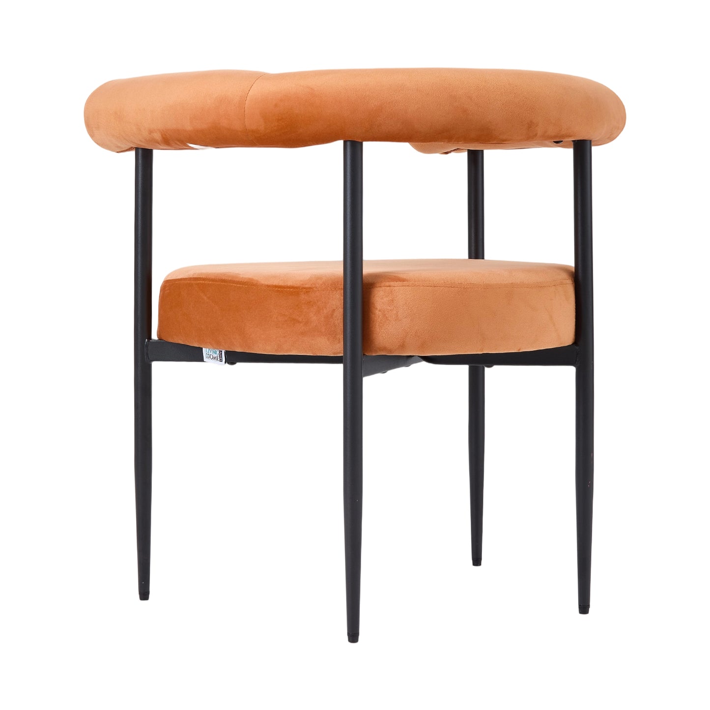 Set of 2 Modern Dining Chairs with Black Metal Legs