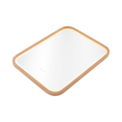 Wall-Mounted Bathroom Adjustable LED Vanity Mirror with Demister