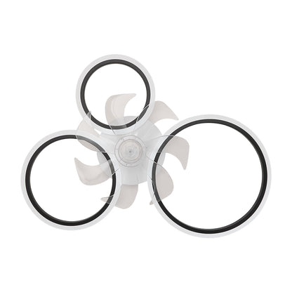 Modern Ceiling Fan & LED Lighting Fixture
