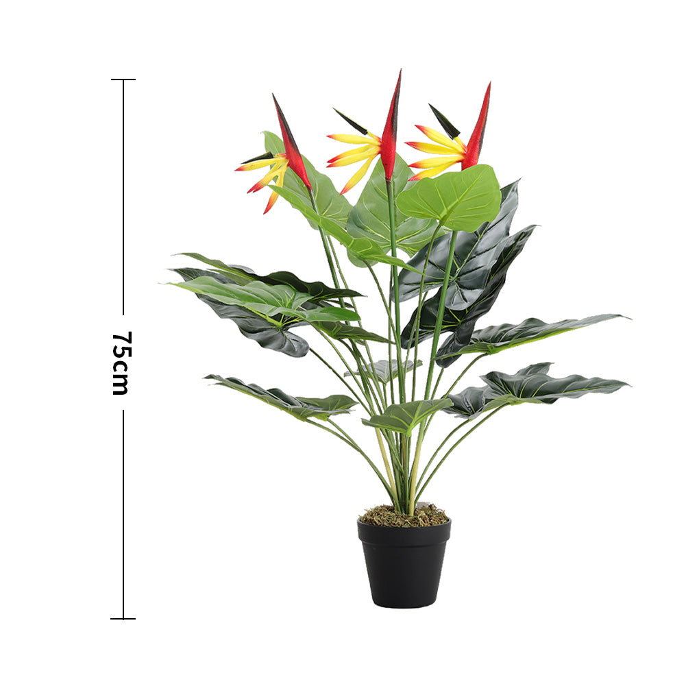 75cm Artificial Potted Bird of Paradise Palm Tree