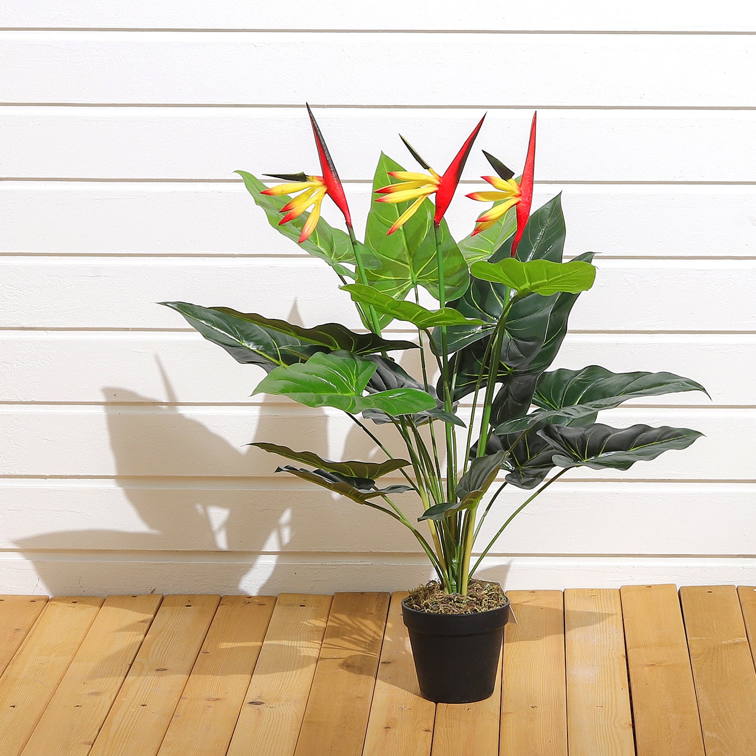 75cm Artificial Potted Bird Paradise Palm Tree