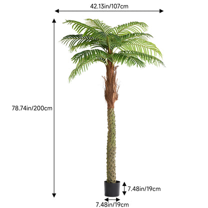 Evergreen Artificial Areca Palm