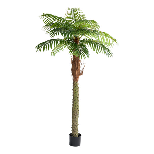 Evergreen Artificial Areca Palm