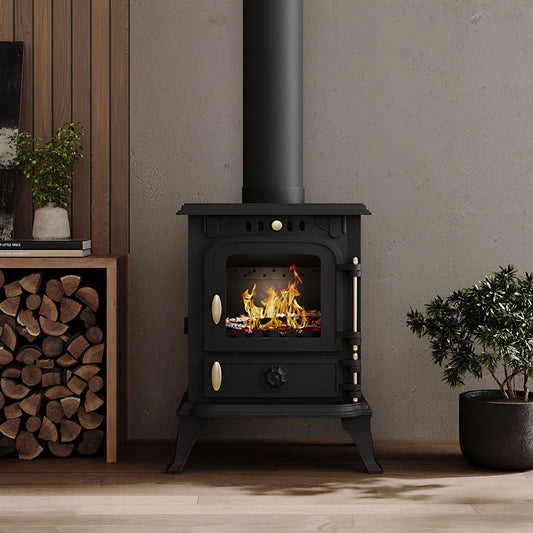 Freestanding Cast Iron Wood Burning Stove Fireplace