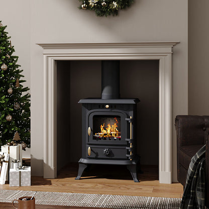 Freestanding Cast Iron Wood Burning Stove Fireplace