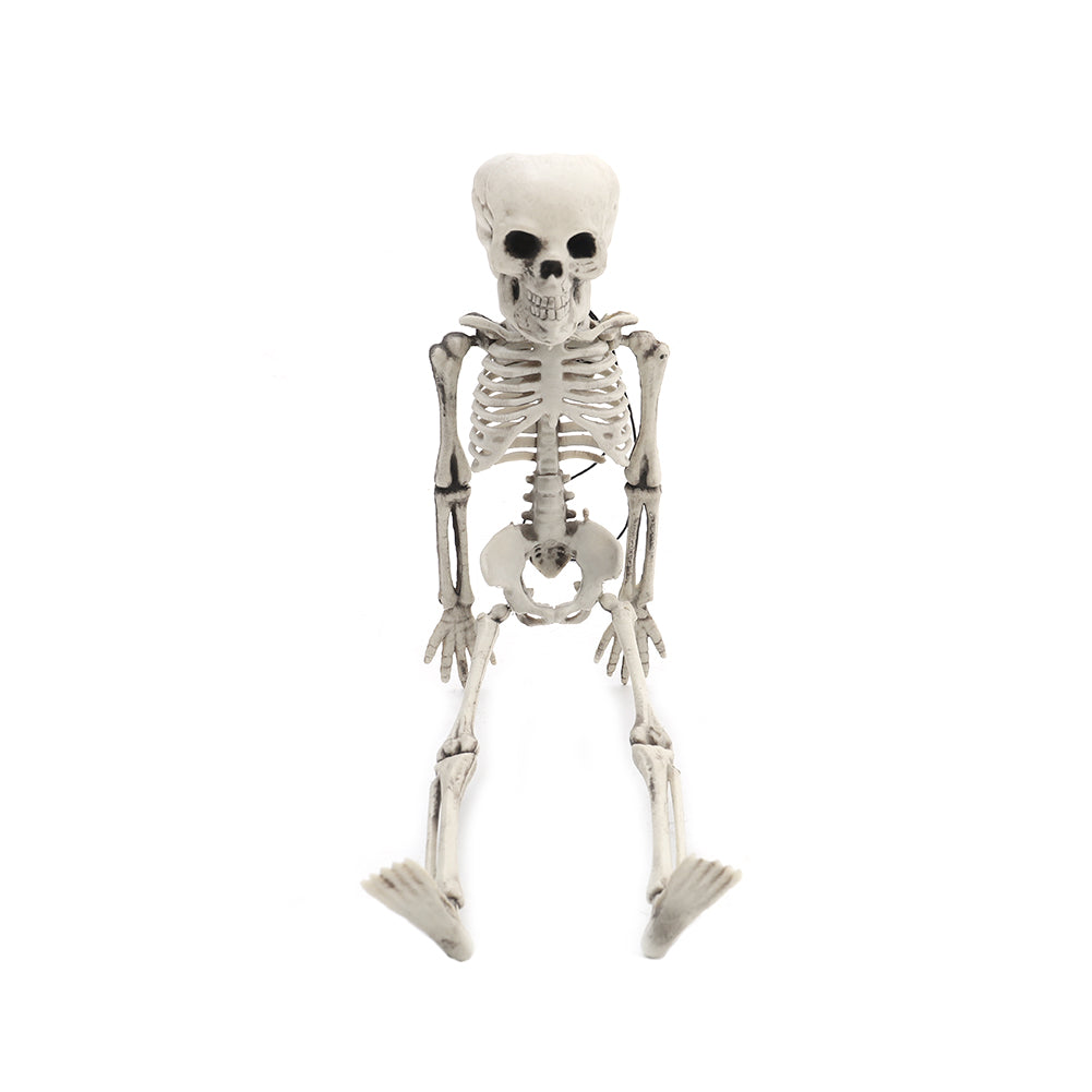 Realistic Posable Hanging Skeleton for Halloween