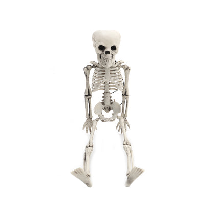 Realistic Posable Hanging Skeleton for Halloween