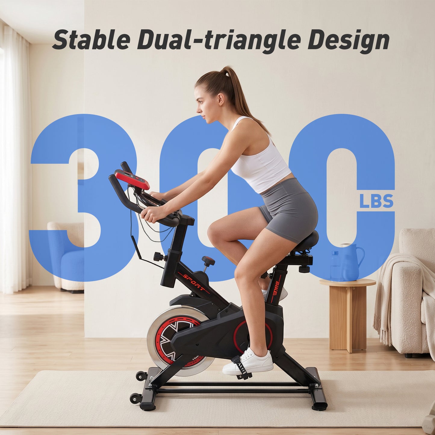 Indoor Adjustable Exercise Bike