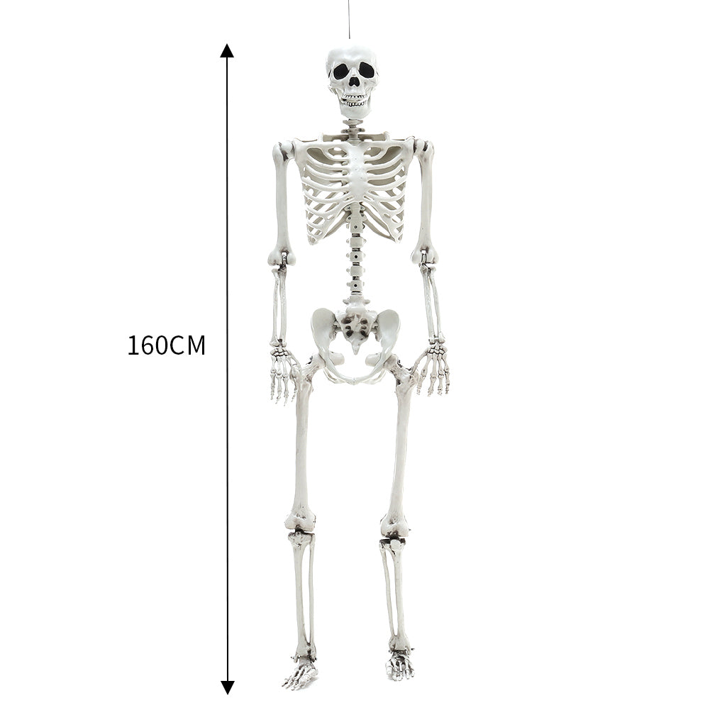 Realistic Full Body Halloween Skeleton Prop with Posable Joints