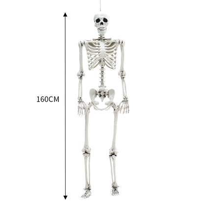 Realistic Full Body Halloween Skeleton Prop with Posable Joints