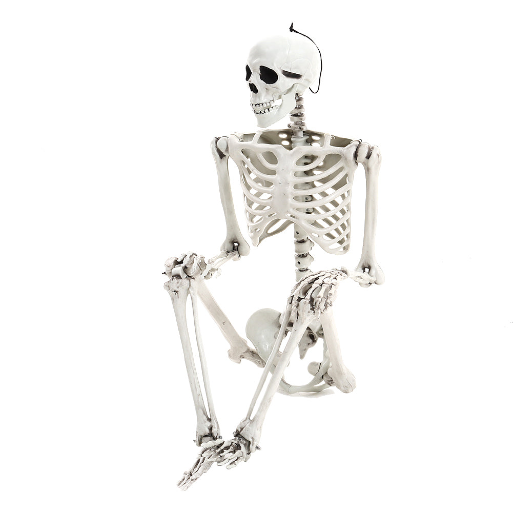 Realistic Full Body Halloween Skeleton Prop with Posable Joints