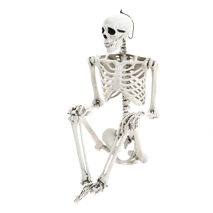 Realistic Full Body Halloween Skeleton Prop with Posable Joints
