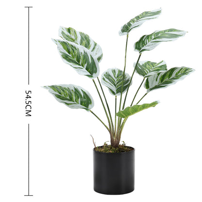 Potted Fake Plants Artificial Calathea White Fusion for Home Decoration