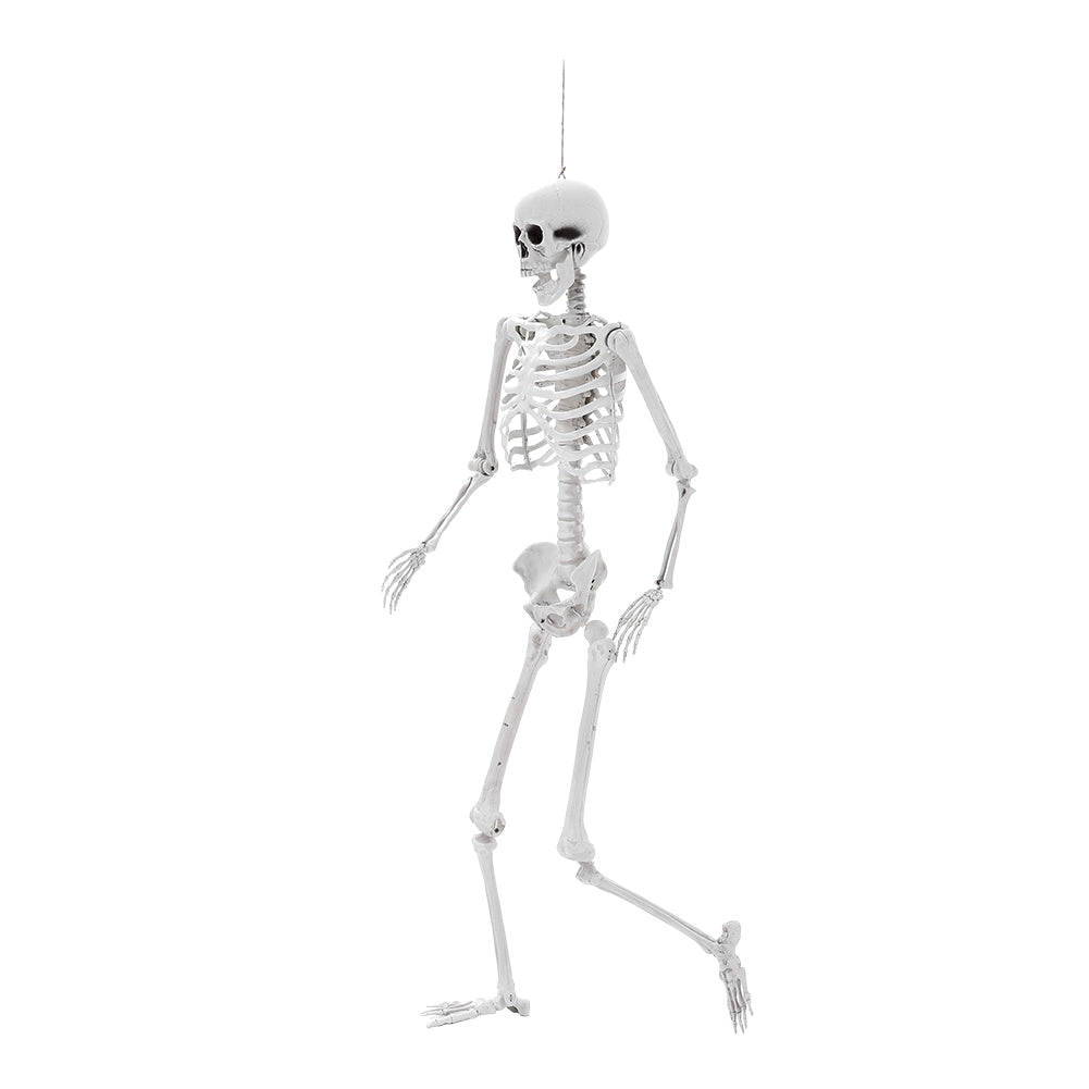 Poseable Skeleton Props for Halloween Party Decoration