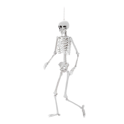 Poseable Skeleton Props for Halloween Party Decoration