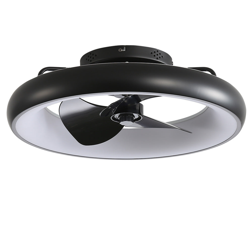 22-Inch Modern Ceiling Fan Light with Remote Control