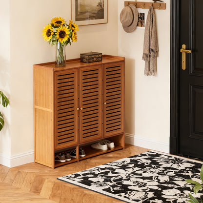 Shoe Storage Cabinet with 3 Doors