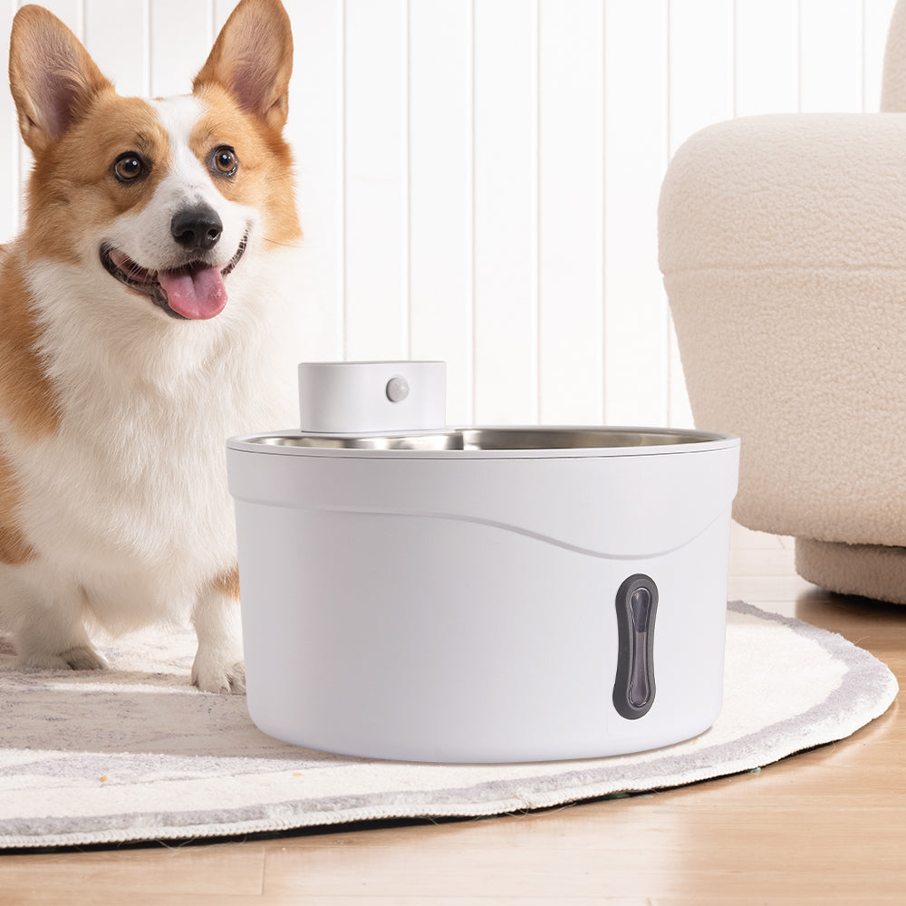 Pet Water Fountain Ultra Quiet with Three Water Flow Modes