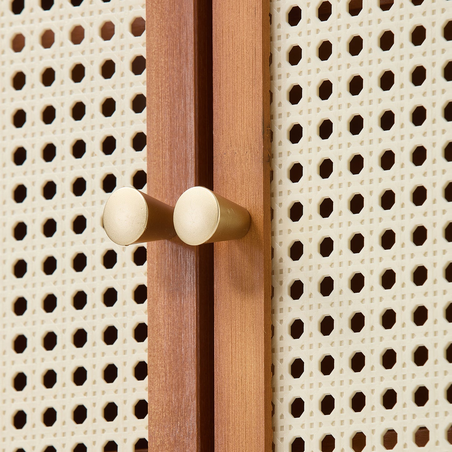 95CM H Modern Shoe Storage Cabinet with Rattan-Effect 2 Doors