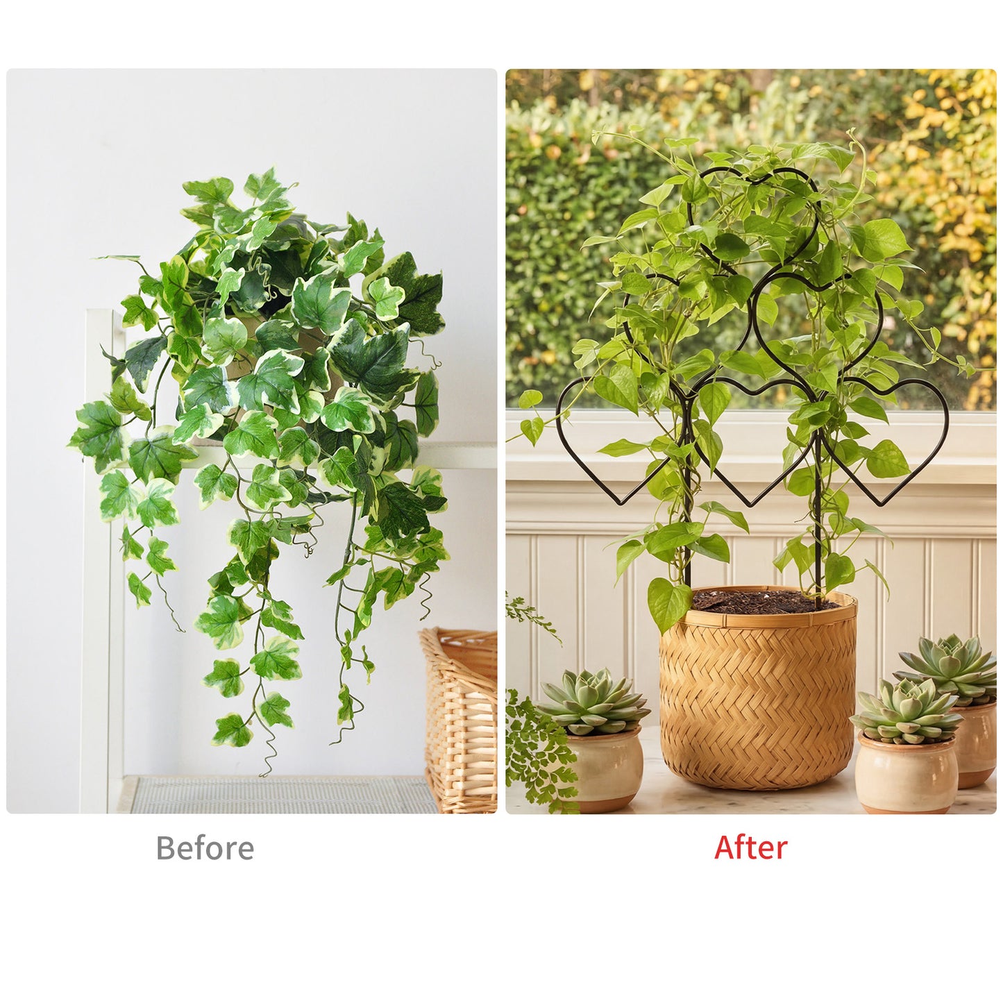 3Pcs Heart-Shaped Stackable Plant Climbing Trellises