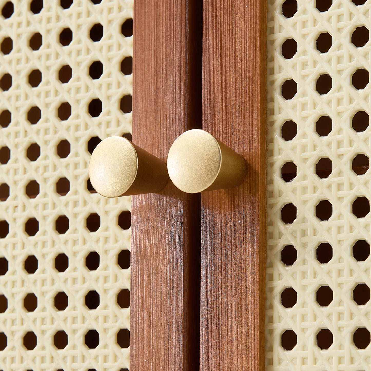 Modern Shoe Storage Cabinet with Rattan-Effect 4 Doors