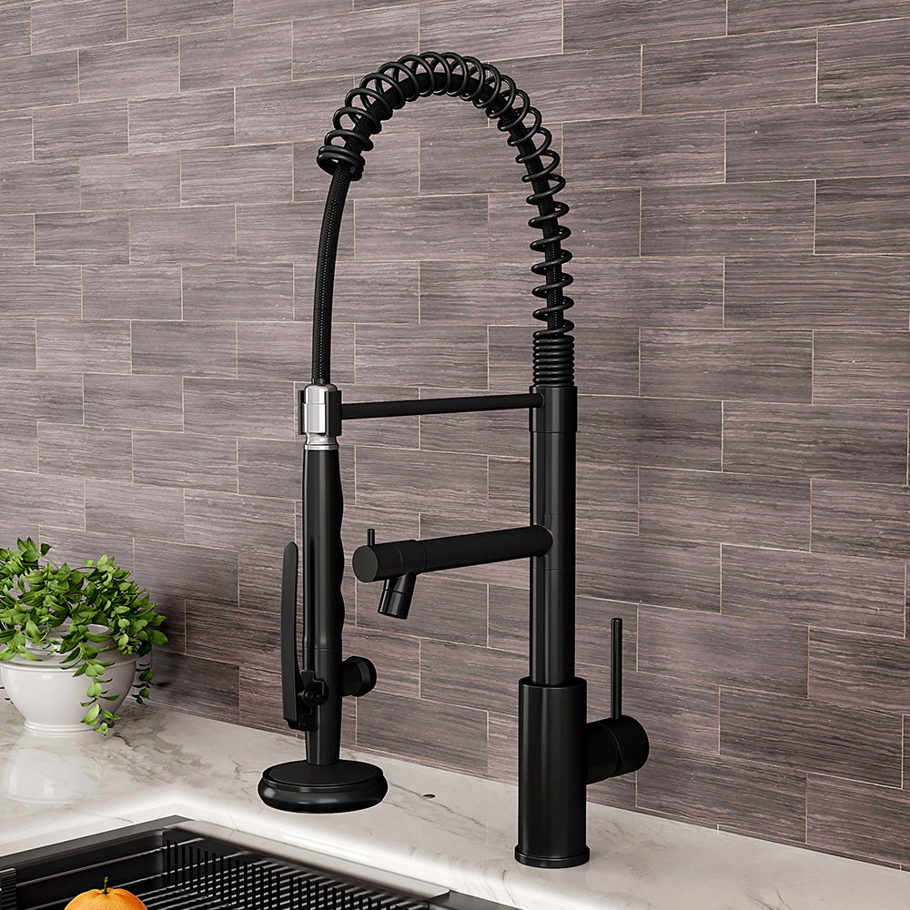 Swivel Kitchen Faucet with Pull Down Sprayer and Pot Filler