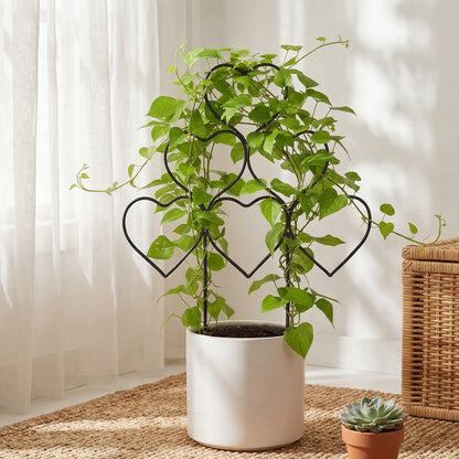 3Pcs Heart-Shaped Stackable Plant Climbing Trellises
