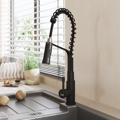 Modern Kitchen Pull Down Faucet